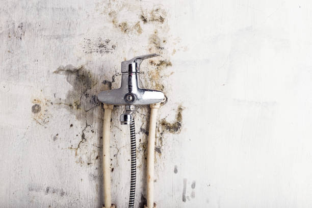 Best Residential Mold Remediation in Deatsville, AL