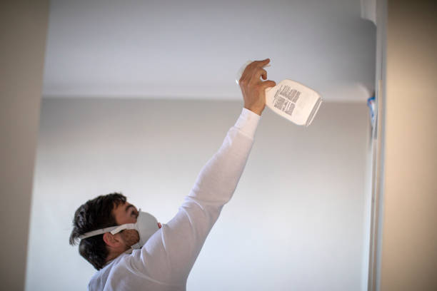 Best Basement Mold Remediation in Deatsville, AL
