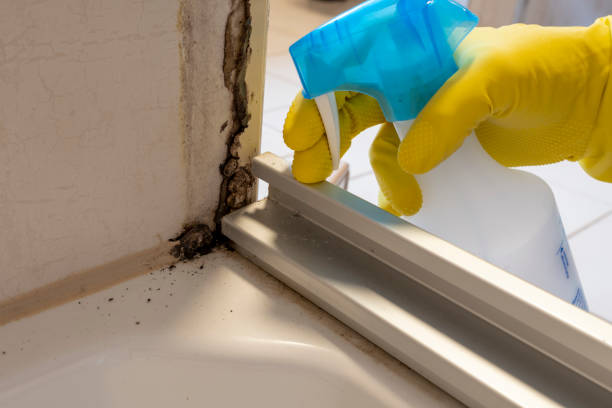 Best Crawl Space Mold Remediation in Deatsville, AL