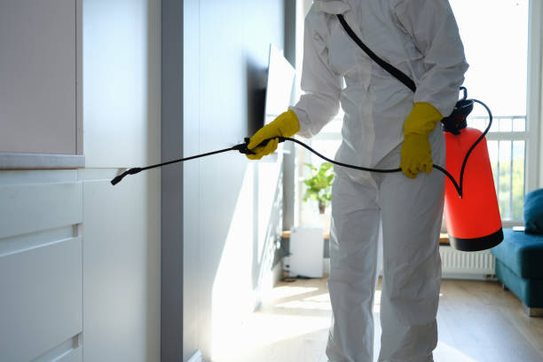 Best Residential Mold Remediation in Deatsville, AL