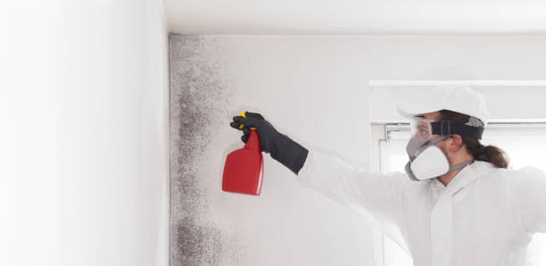 Best Mold Testing and Inspection Services in Deatsville, AL