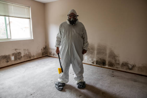 Best Industrial Mold Remediation in Deatsville, AL