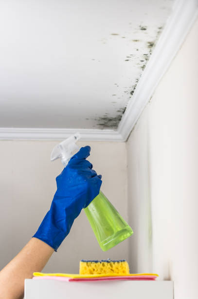 Best Post-Remediation Services in Deatsville, AL
